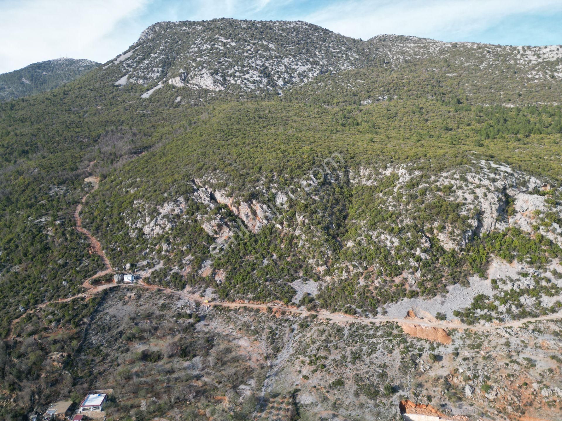 Alanya Bademağacı Köyünde Köyiçi İmarlı Mükemmel Manzaralı Satılık 3650 Metrekare Tarla. - Görsel 11