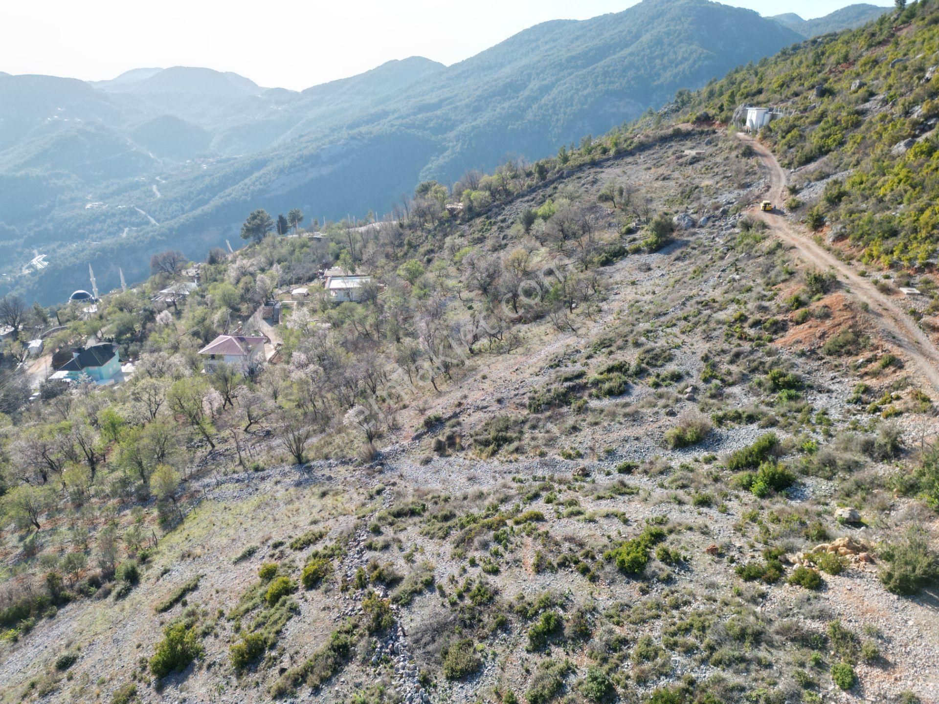 Alanya Bademağacı Köyünde Köyiçi İmarlı Mükemmel Manzaralı Satılık 3650 Metrekare Tarla. - Görsel 18