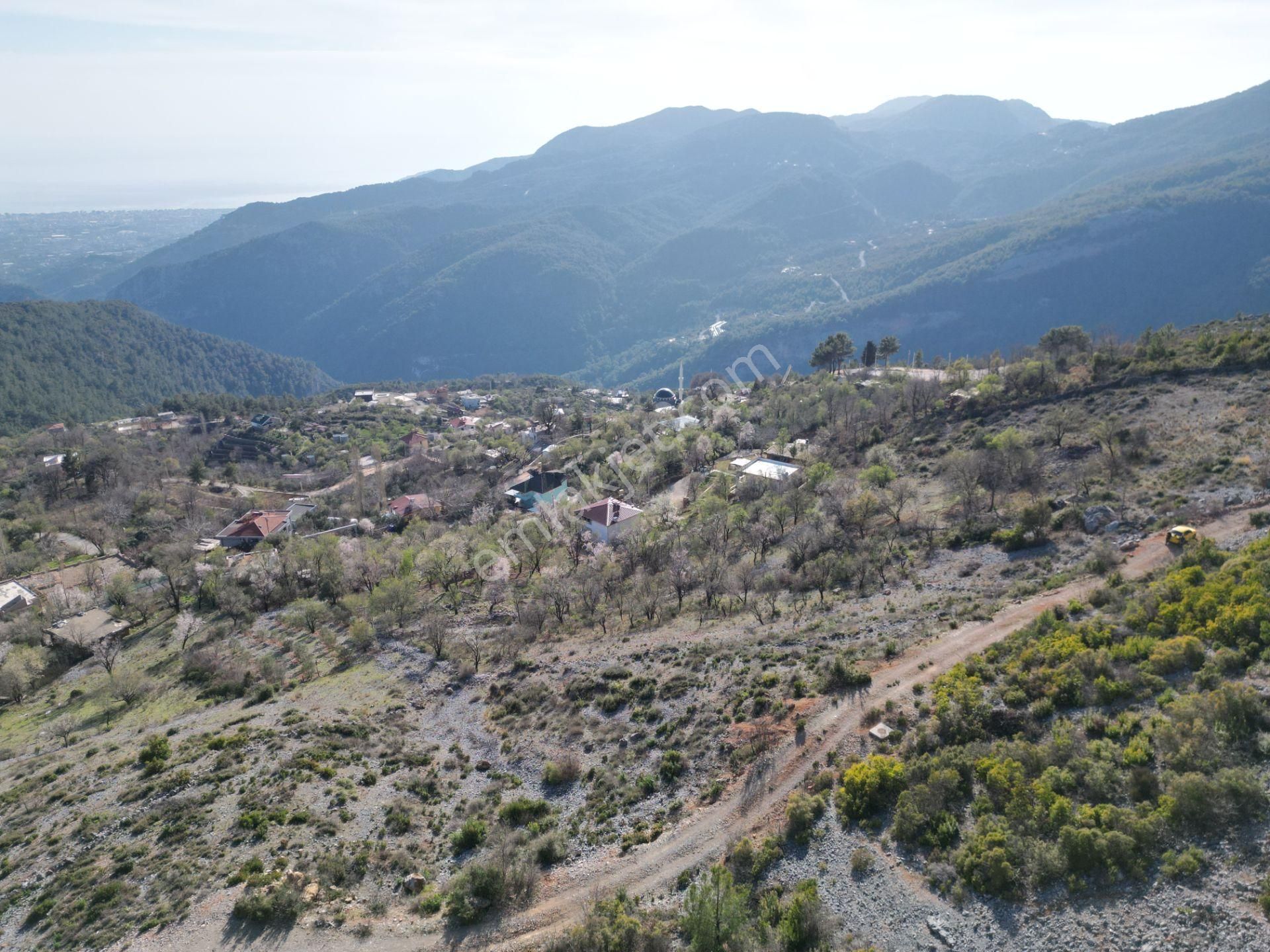 Alanya Bademağacı Köyünde Köyiçi İmarlı Mükemmel Manzaralı Satılık 3650 Metrekare Tarla. - Görsel 26