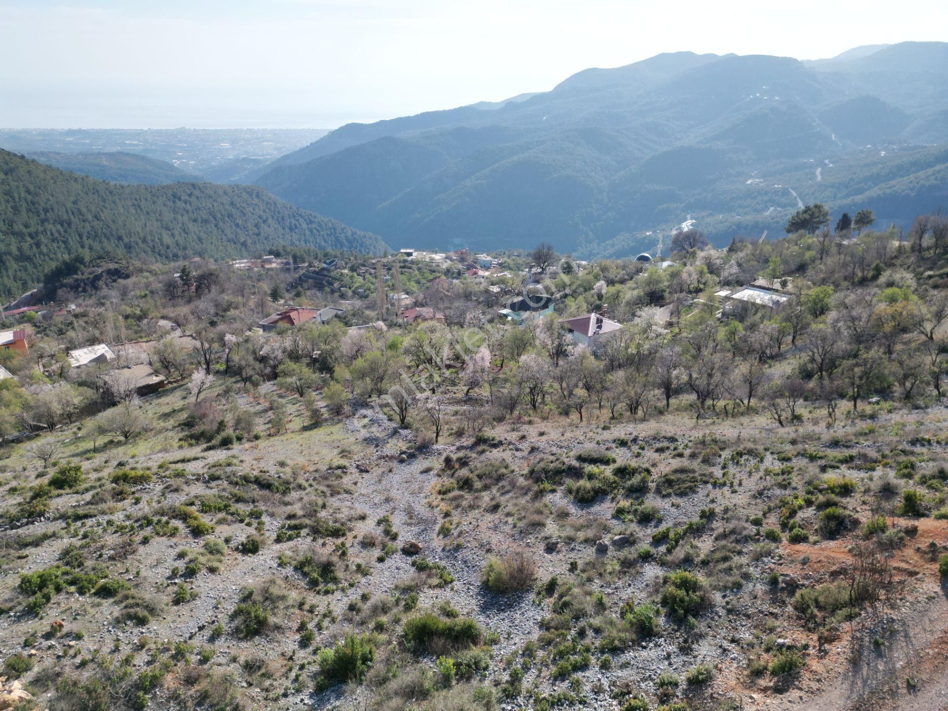 Alanya Bademağacı Köyünde Köyiçi İmarlı Mükemmel Manzaralı Satılık 3650 Metrekare Tarla. - Görsel 17