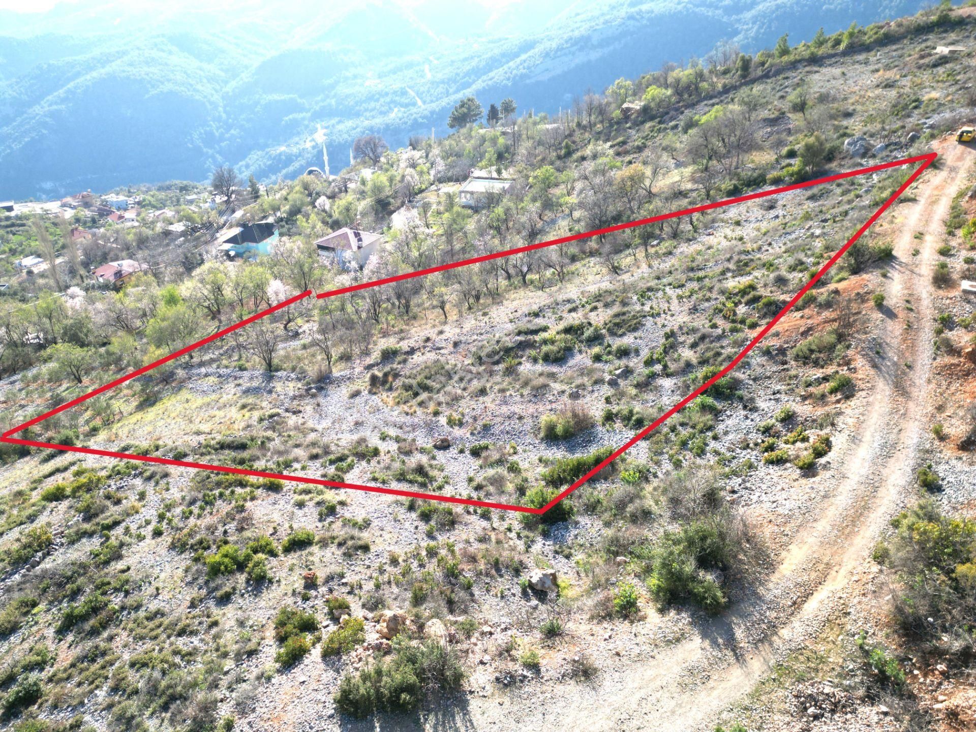 Alanya Bademağacı Köyünde Köyiçi İmarlı Mükemmel Manzaralı Satılık 3650 Metrekare Tarla. - Görsel 3