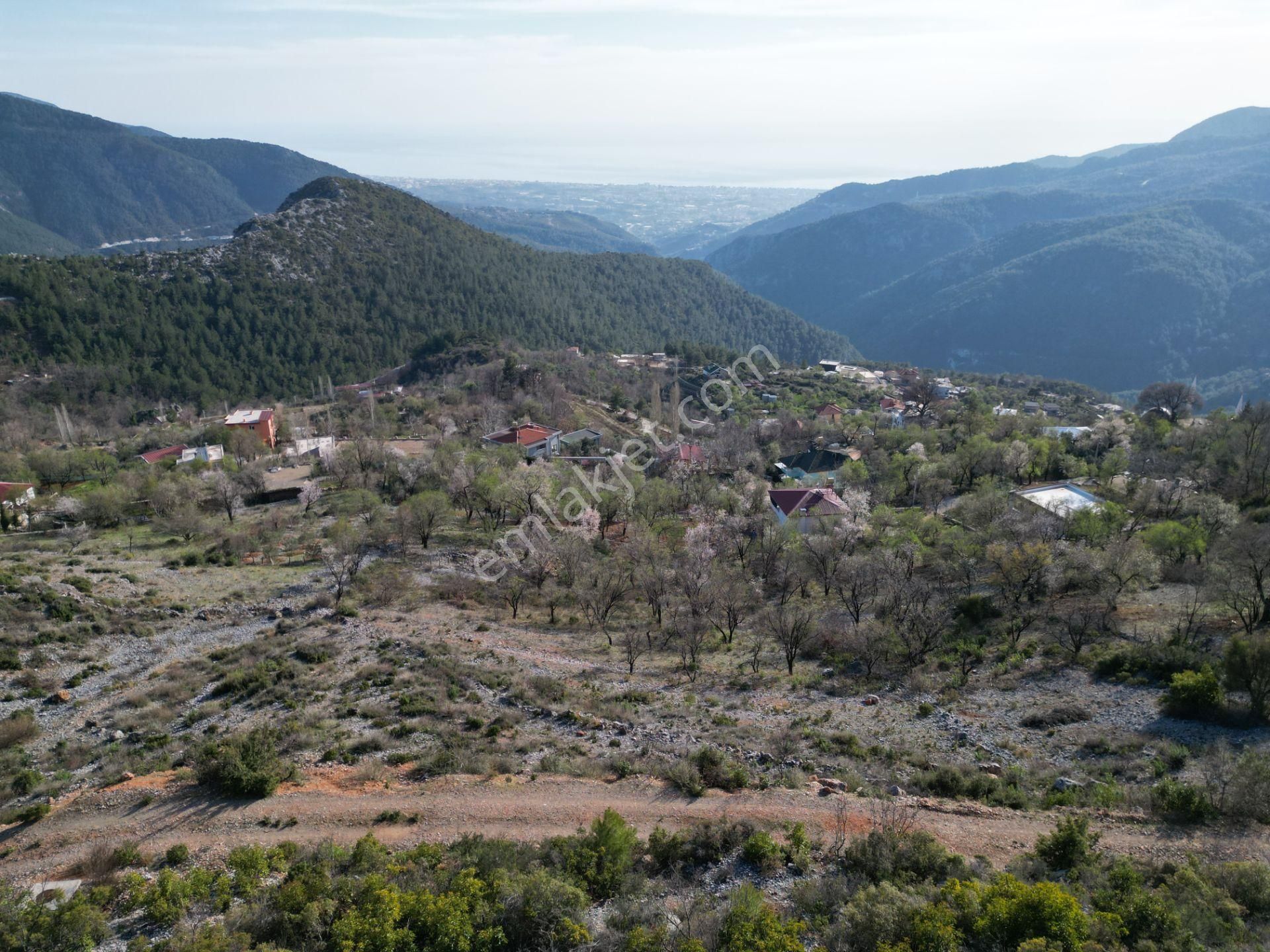 Alanya Bademağacı Köyünde Köyiçi İmarlı Mükemmel Manzaralı Satılık 3650 Metrekare Tarla. - Görsel 12