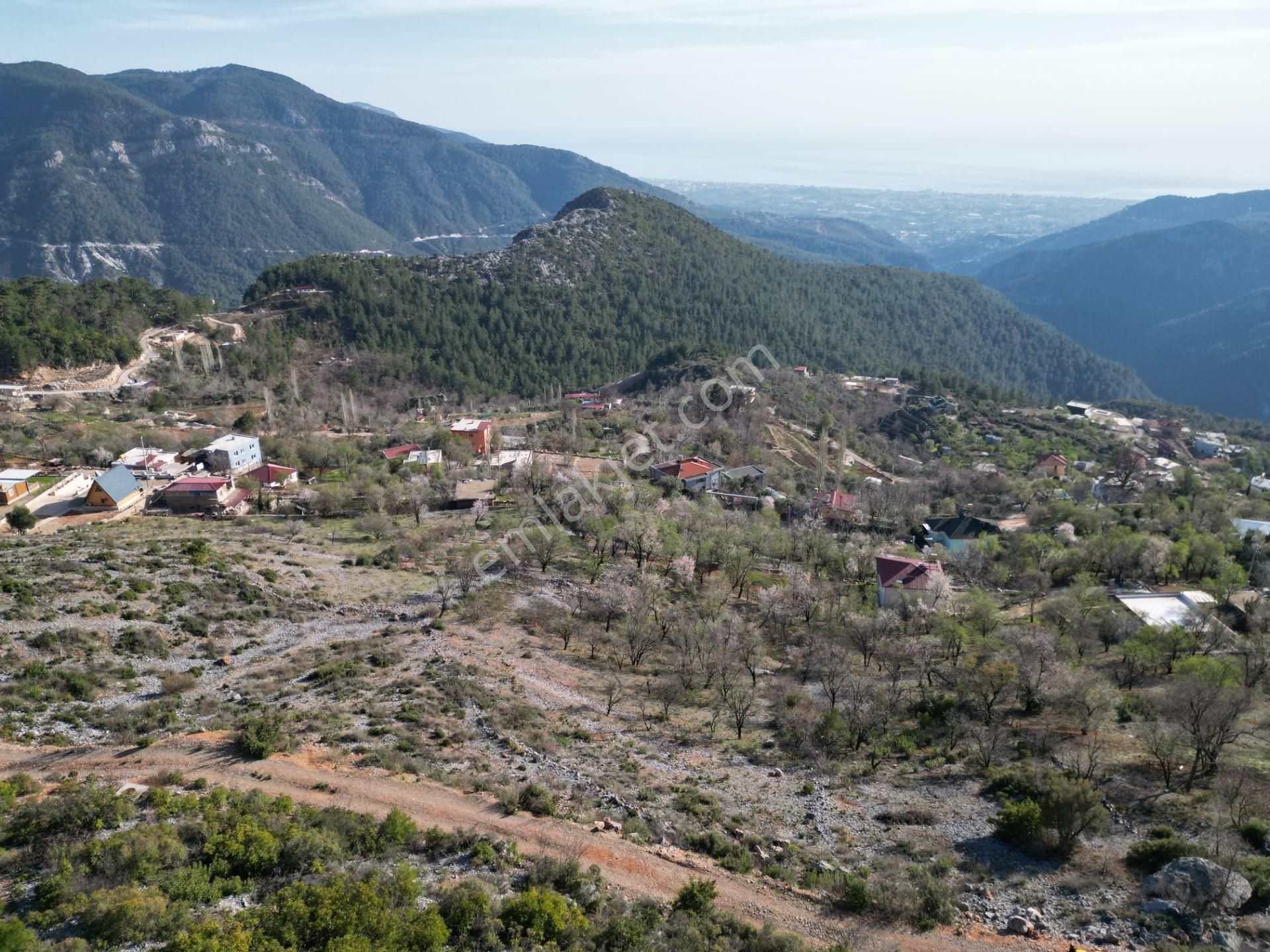 Alanya Bademağacı Köyünde Köyiçi İmarlı Mükemmel Manzaralı Satılık 3650 Metrekare Tarla. - Görsel 24