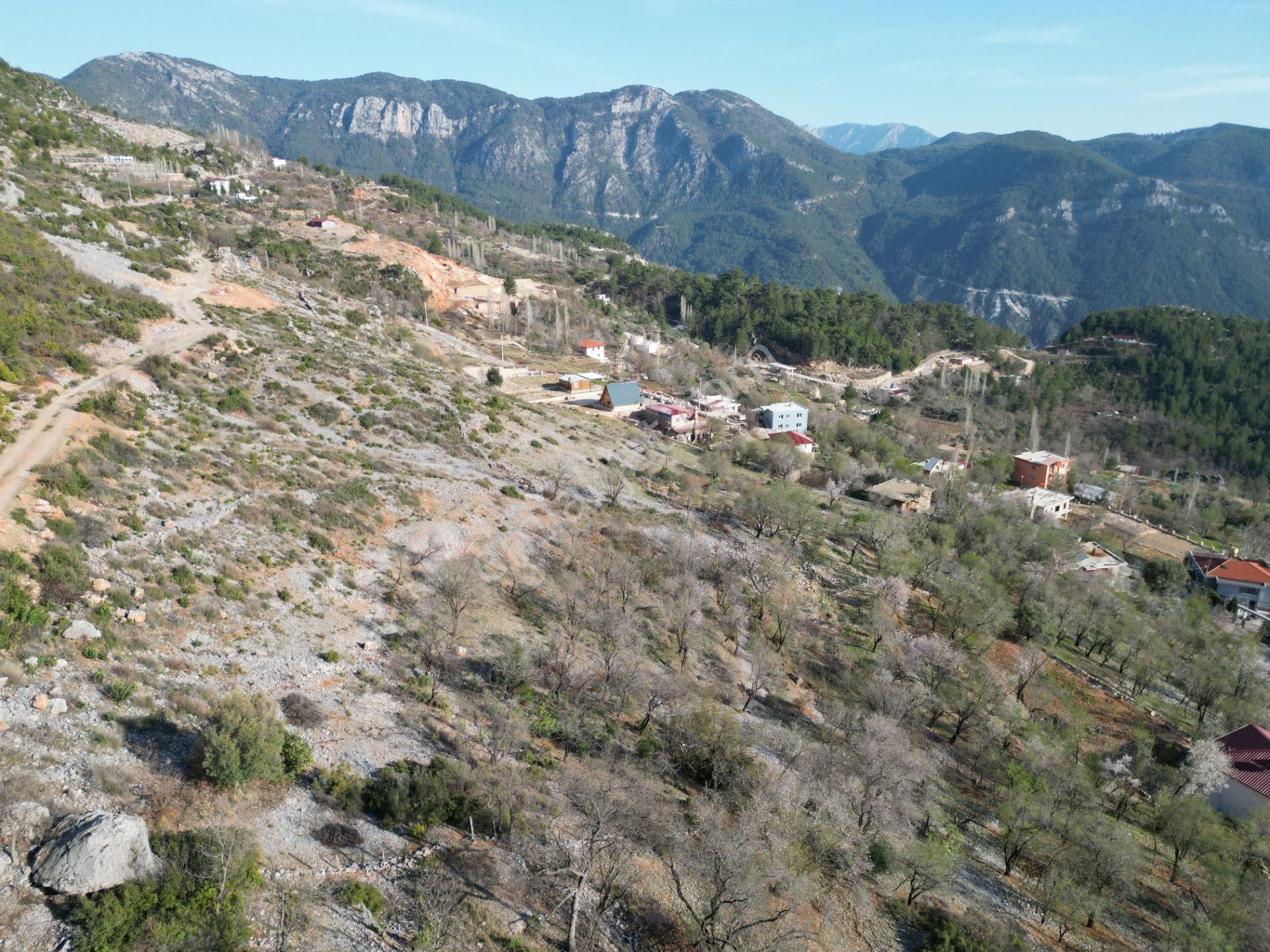 Alanya Bademağacı Köyünde Köyiçi İmarlı Mükemmel Manzaralı Satılık 3650 Metrekare Tarla. - Görsel 22