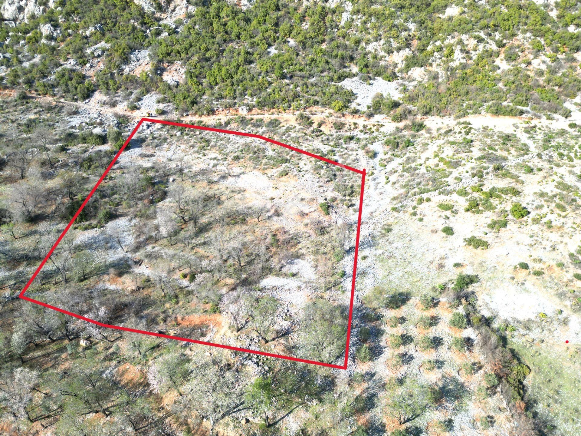 Alanya Bademağacı Köyünde Köyiçi İmarlı Mükemmel Manzaralı Satılık 3650 Metrekare Tarla. - Görsel 5