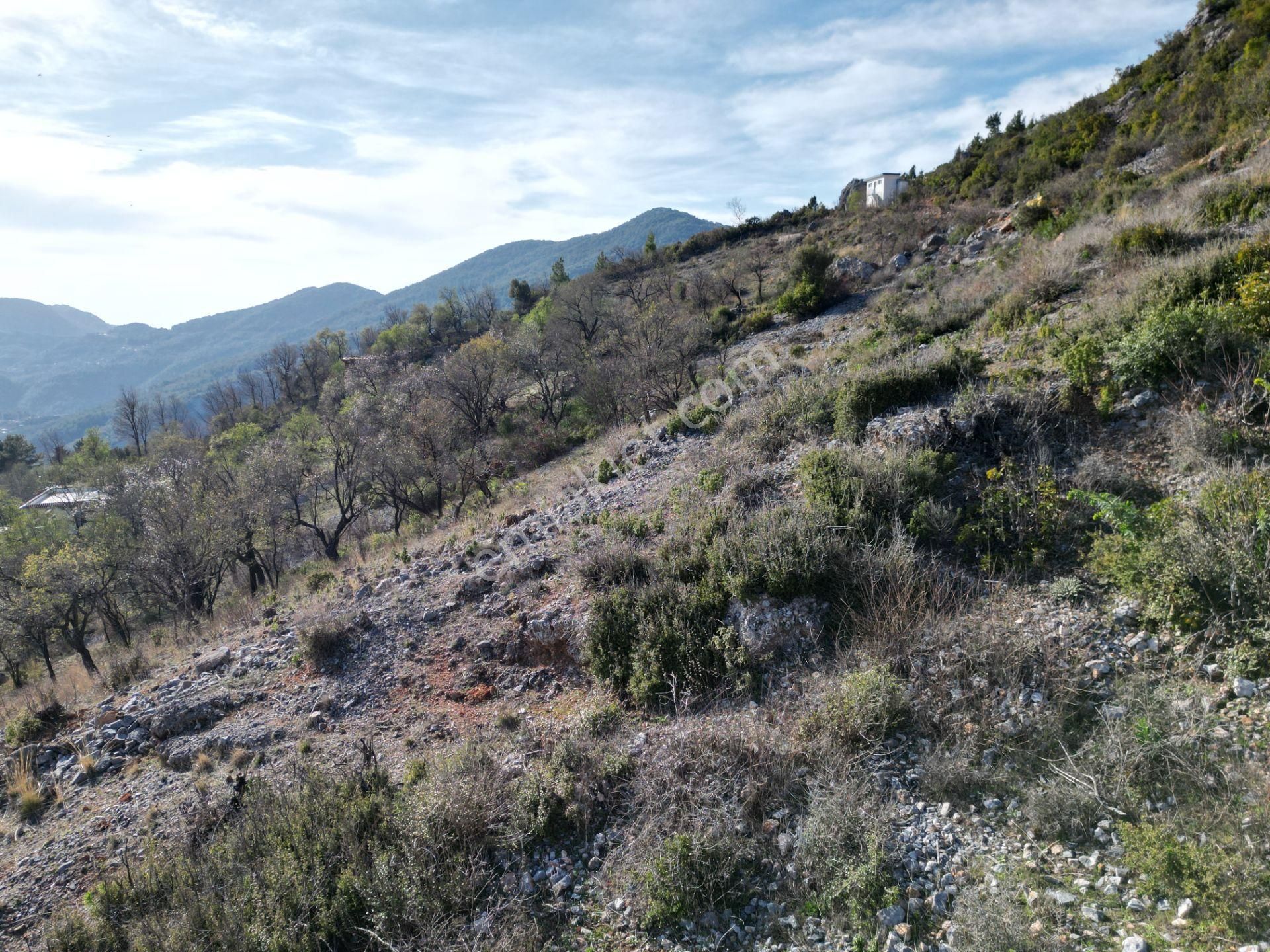Alanya Bademağacı Köyünde Köyiçi İmarlı Mükemmel Manzaralı Satılık 3650 Metrekare Tarla. - Görsel 27