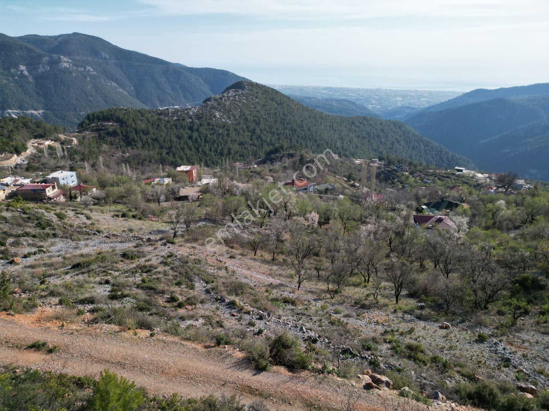 Alanya Bademağacı Köyünde Köyiçi İmarlı Mükemmel Manzaralı Satılık 3650 Metrekare Tarla. - Görsel 15