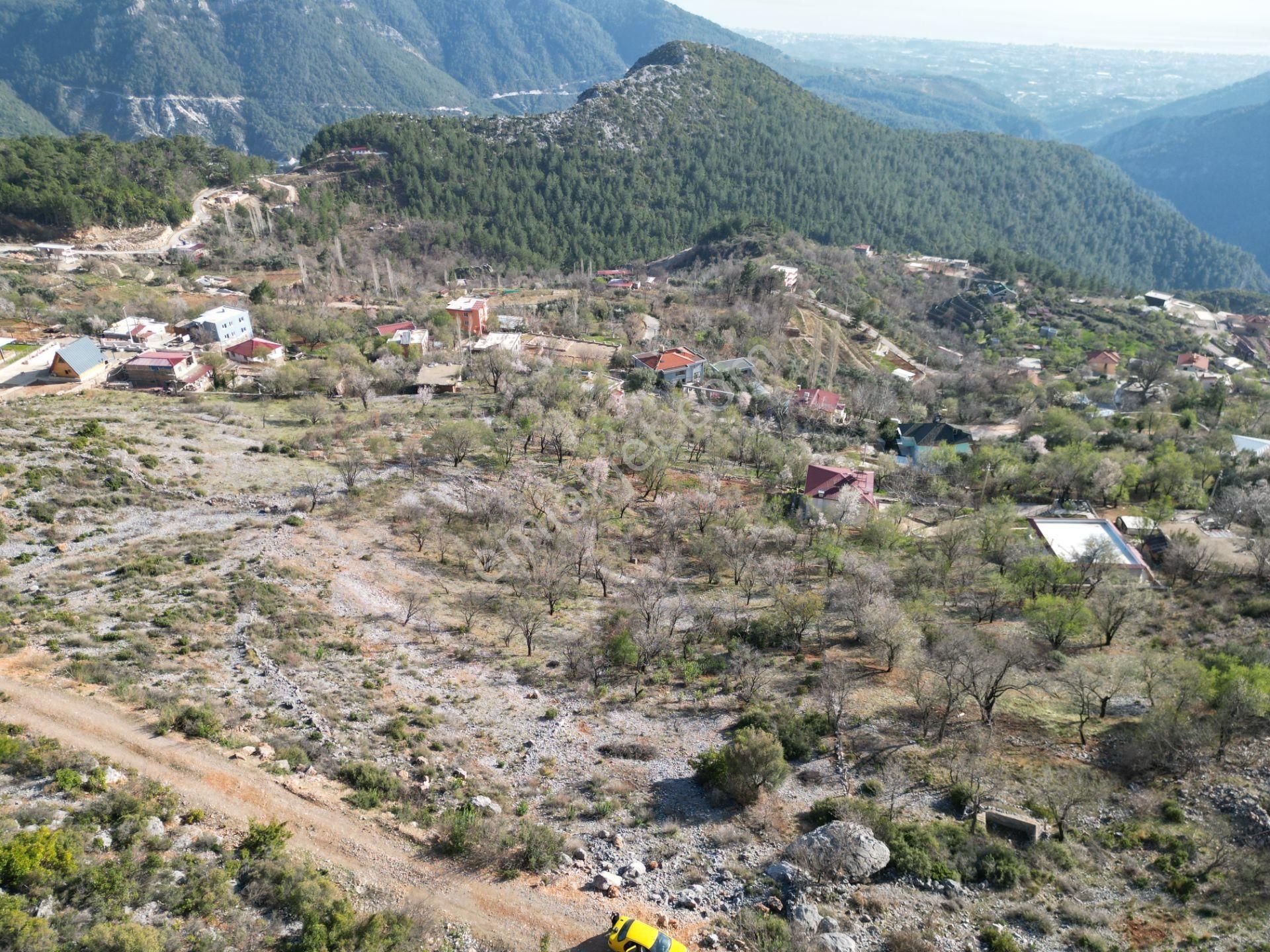 Alanya Bademağacı Köyünde Köyiçi İmarlı Mükemmel Manzaralı Satılık 3650 Metrekare Tarla. - Görsel 13