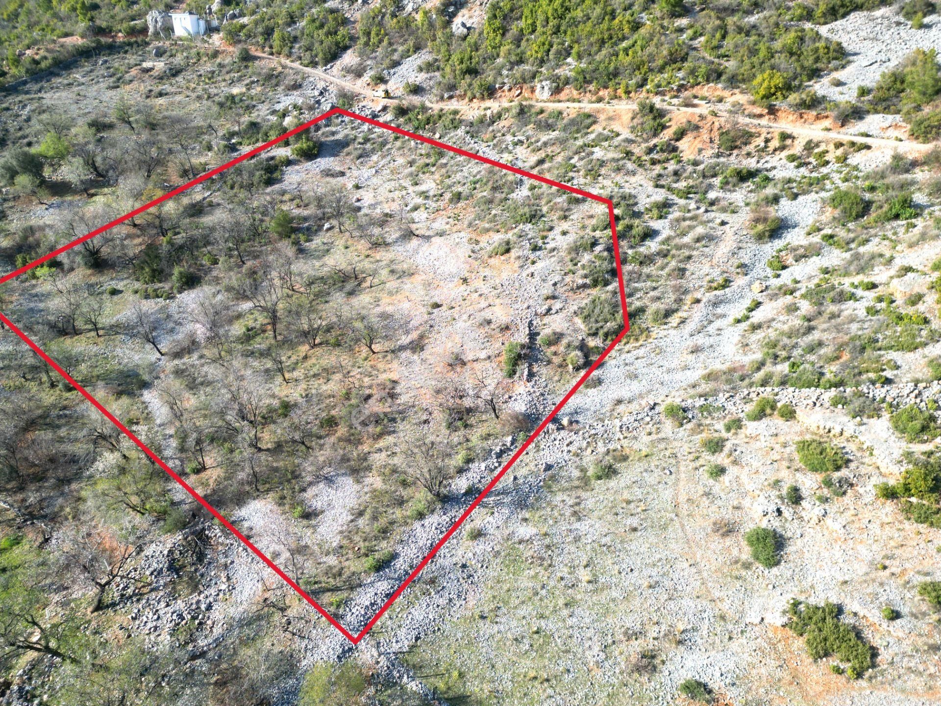 Alanya Bademağacı Köyünde Köyiçi İmarlı Mükemmel Manzaralı Satılık 3650 Metrekare Tarla. - Görsel 4