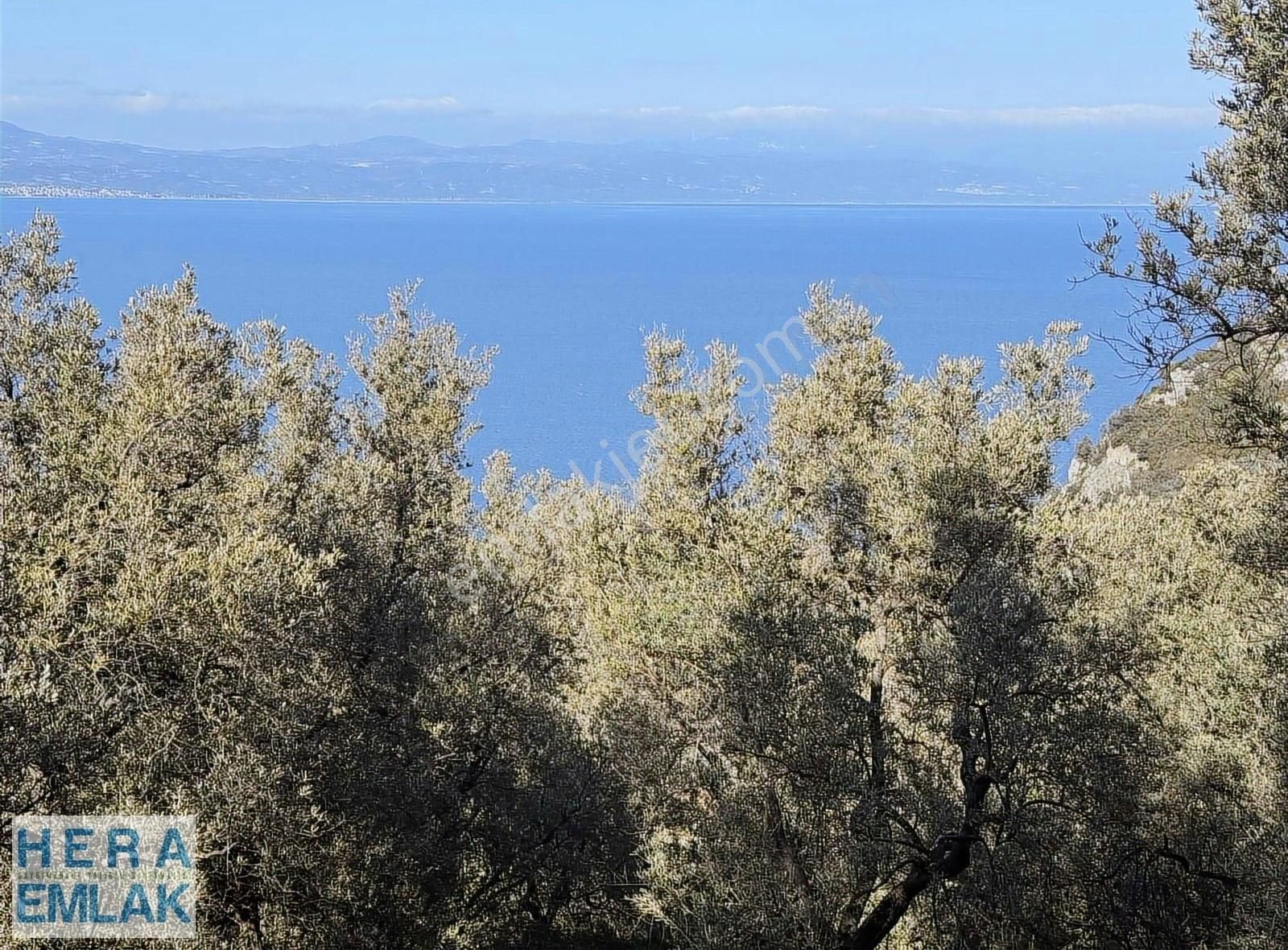 İznik Gölüne 250 Metre Mesafe. Full Göl Manzaralı Bahçe - Görsel 7