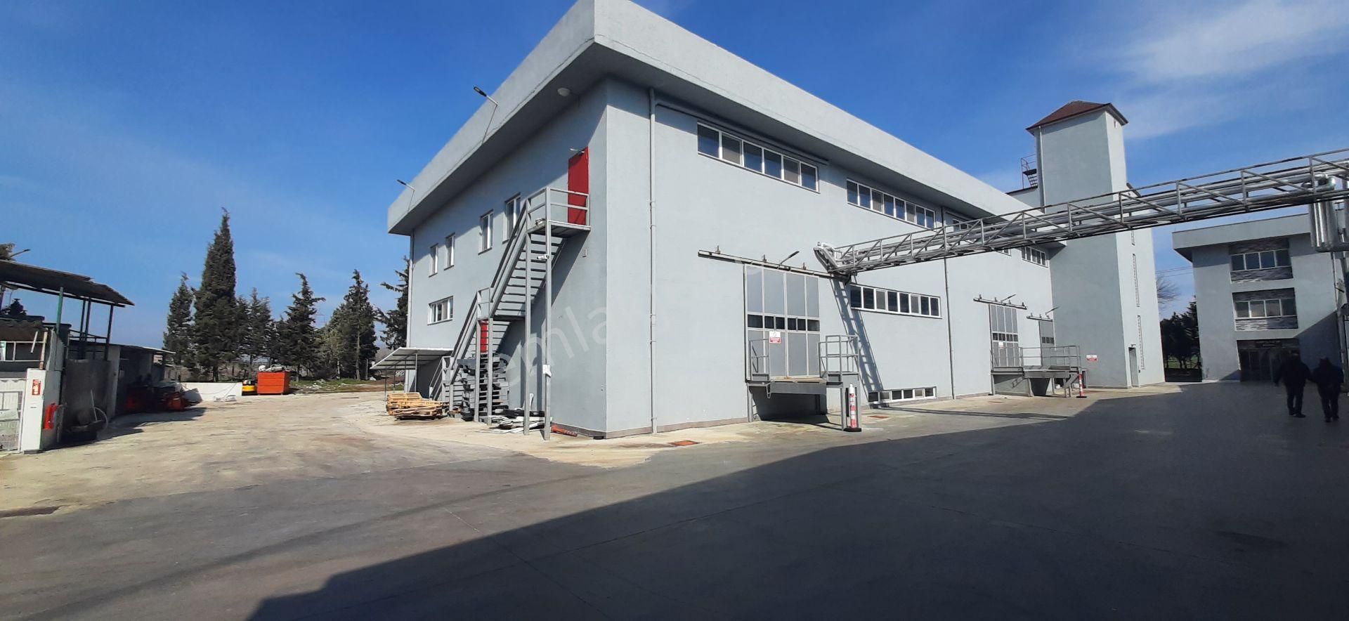 Ergene 1 Osb'de 3.547 M² Kapalı Ve 1.150 M² Açık Güvenlikli Depo - Görsel 12