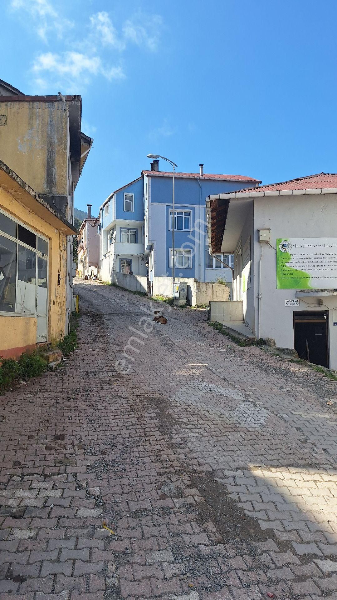 Kastamonu Çatalzeytin'de İlçe Merkezinde Satılık Bina - Görsel 8