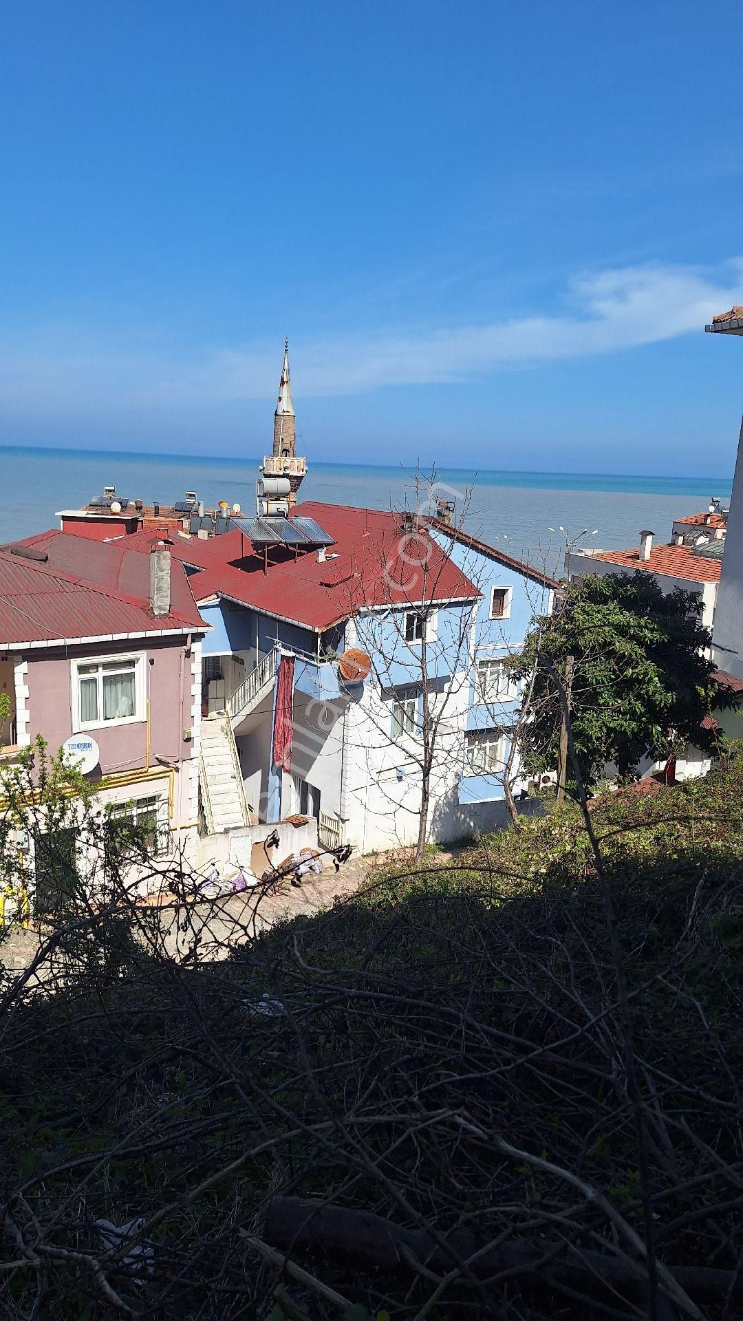 Kastamonu Çatalzeytin'de İlçe Merkezinde Satılık Bina - Görsel 5