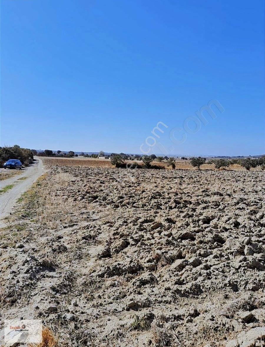 Çanakkale Merkezde Halileli Köyünde 6377m2 Tarla - Görsel 4