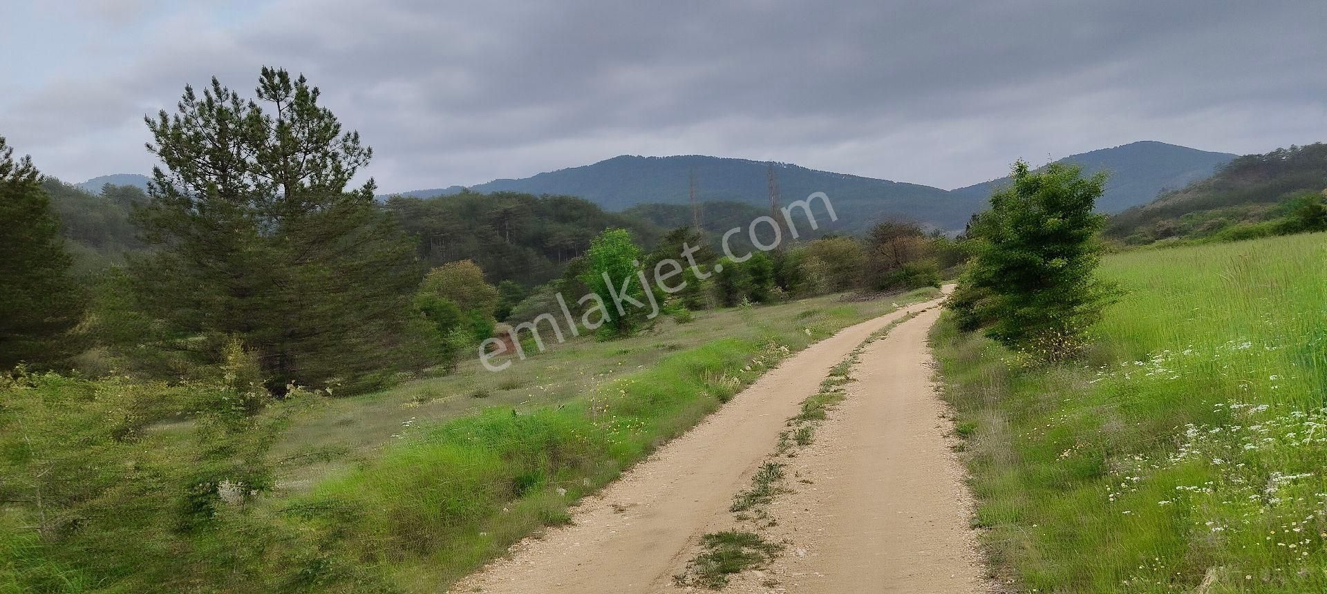 Nallıhan Beycik Dere Kenarı Satılık Arsa 7611 M2 192 Ada 2 Pars