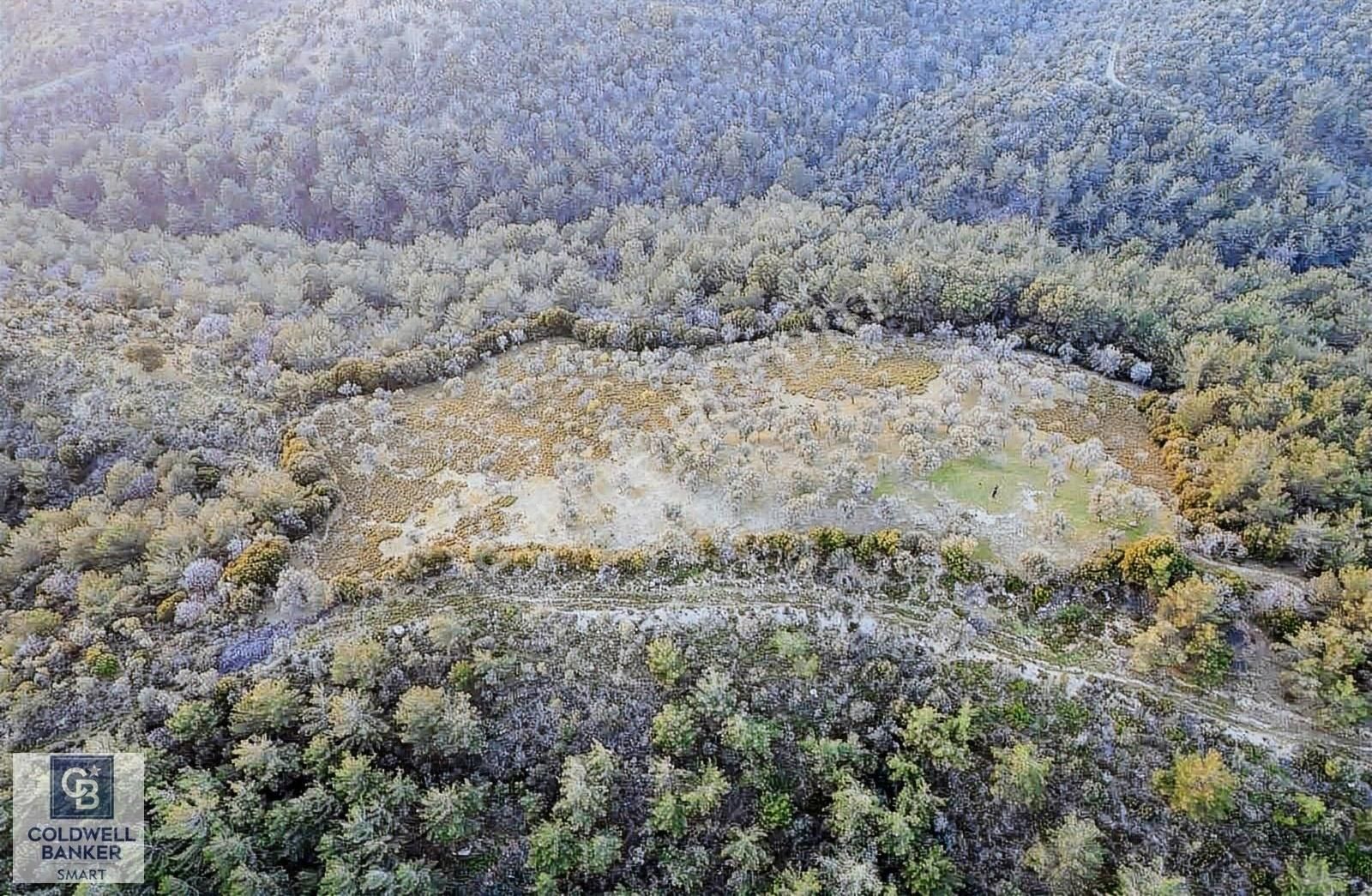 Seferihisar Gölcük Satılık Tarla Seferihisar Gölcük'de Manzaralı Orman Cepheli Arazi