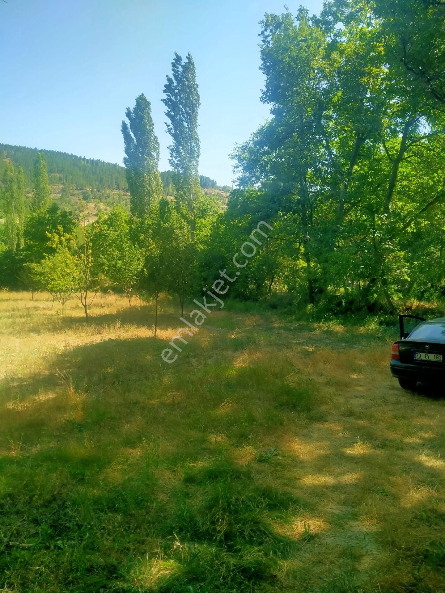 Hayat Emlaktan Karaman Merkez Yeşildere Köyünde Satılık Bahçe - Görsel 3