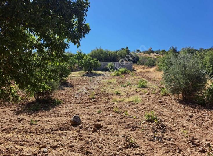 Şehitkamil Köksalan Satılık Bağ & Bahçe Köksalanda Asfalta Yakın Bağevi Temeli Atılmış Manzaralı Arazi.