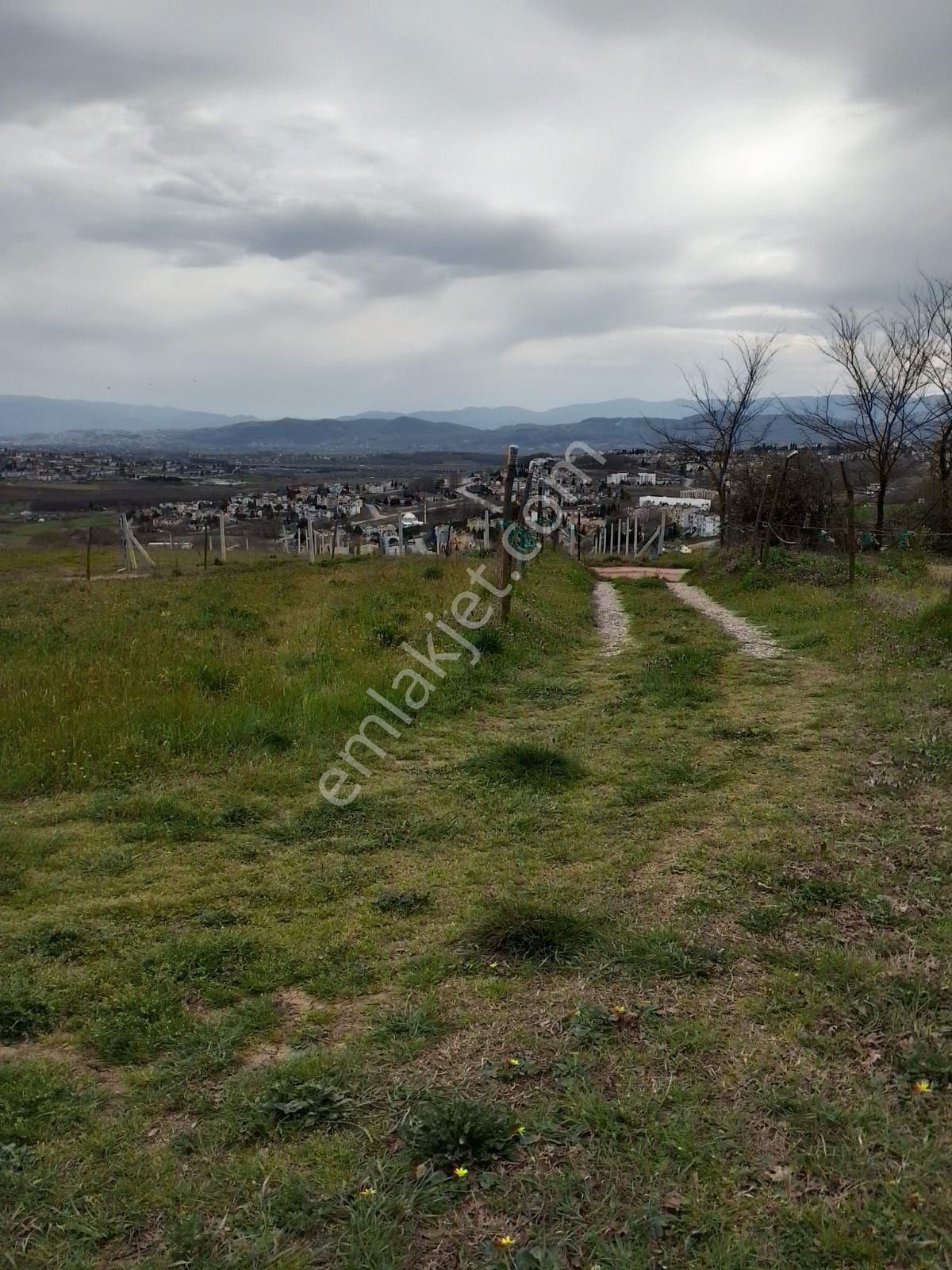 Sakarya Camili Konutları Yakınında Kayrancık İmar Planı İçinde - Görsel 4