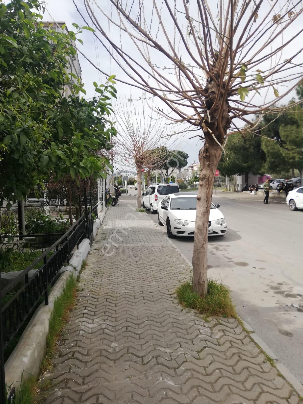 Aydın Nazilli Yöntem Emlaktan Didim Yeni Mahallede Çarşıya Yakın Satılık Teraslı Tribleks Daire - Görsel 18