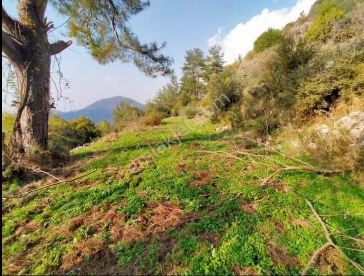 Marmaris Bayır Köyünde Satılık Arsa - Görsel 6