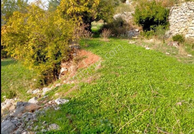 Marmaris Bayır Köyünde Satılık Arsa - Görsel 5