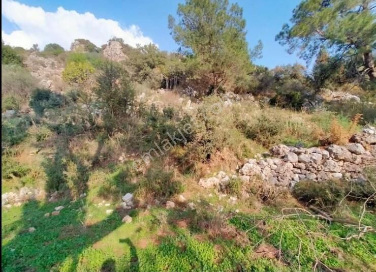 Marmaris Bayır Köyünde Satılık Arsa - Görsel 10