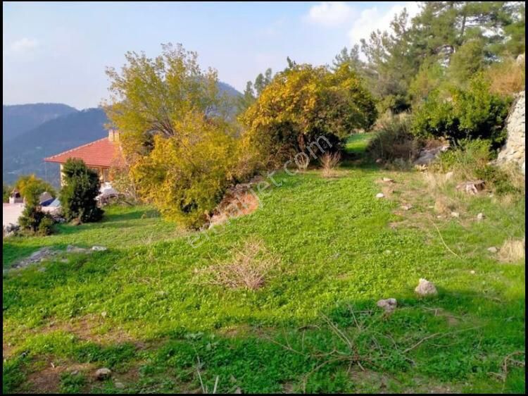 Marmaris Bayır Satılık Muhtelif Arsa Marmaris Bayır Köyünde Satılık Arsa