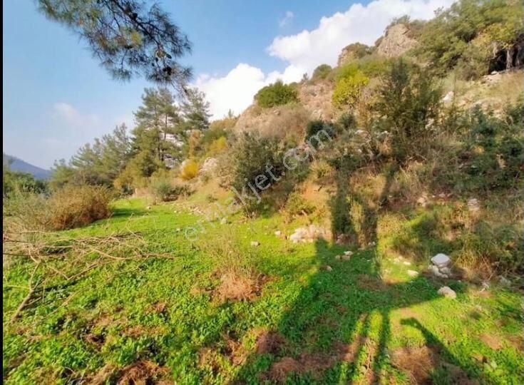 Marmaris Bayır Köyünde Satılık Arsa - Görsel 7