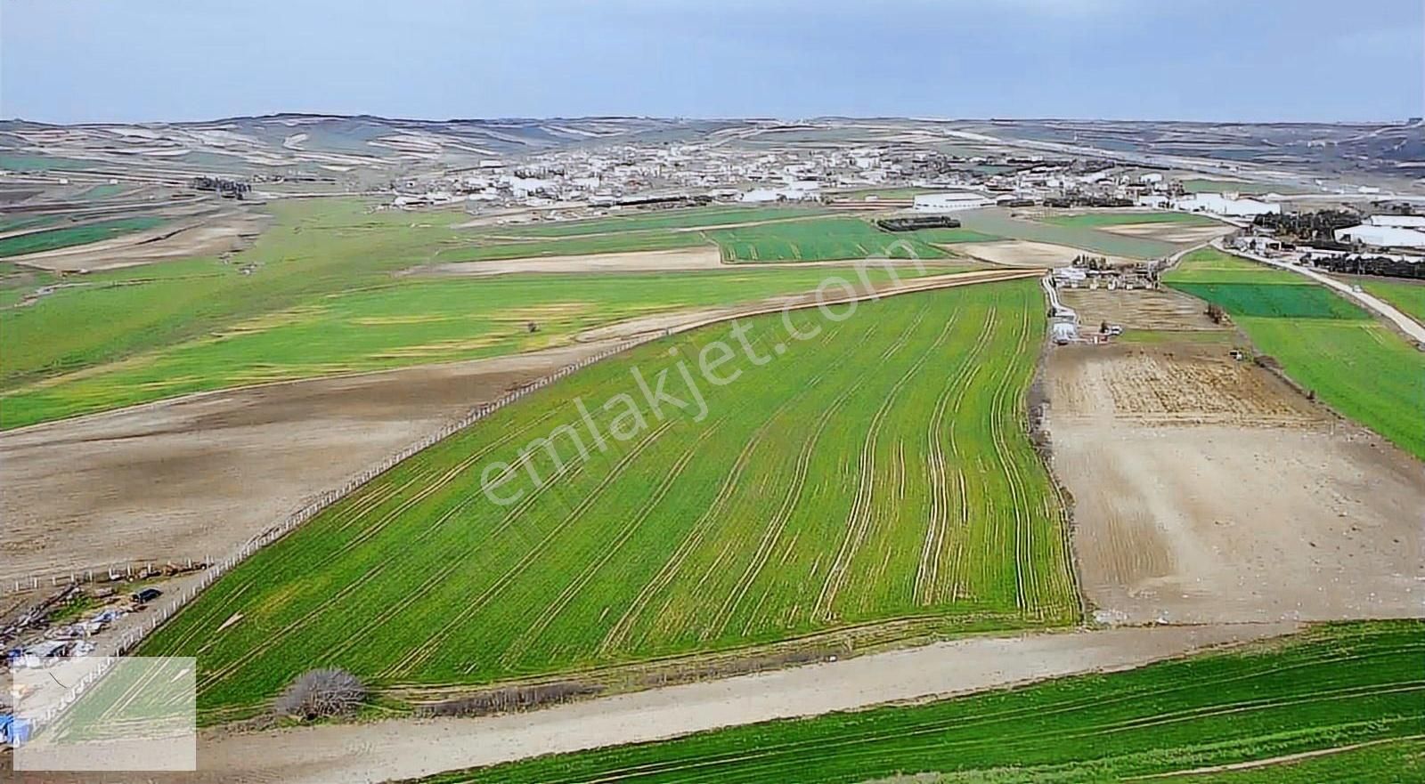 Çatalca Nakkaş Satılık Tarla Çatalca Nakkaşta Yerleşime Yakın 1563 M2 Hisseli Tarla