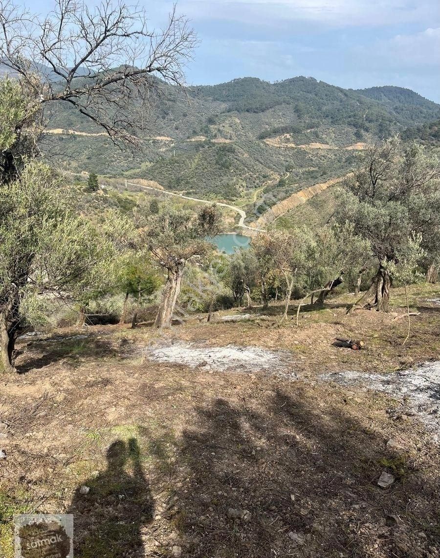 İzmir Bayındır Ergenli Satılık Baraj Kenarı Zeytinlik - Görsel 8