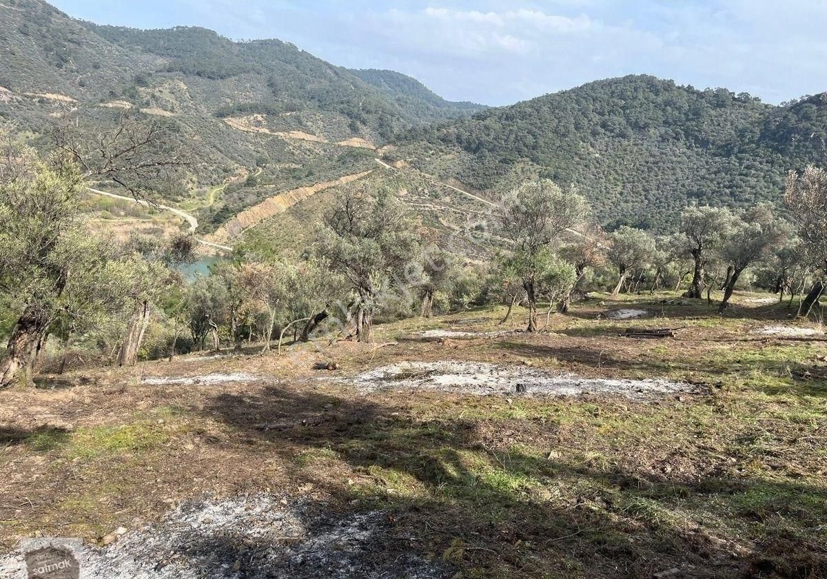 İzmir Bayındır Ergenli Satılık Baraj Kenarı Zeytinlik - Görsel 9
