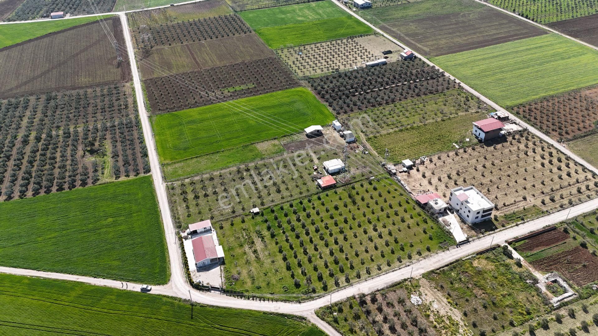 Menderes Tekeli Atatürk Satılık Çiftlik Evi Tekeli İzbana Yakın 6200m2 Tarla İmarı Var Elektrik Su Evi Damı Menderes İzmir