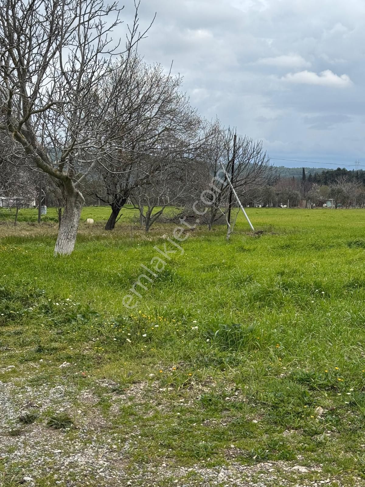 Kuşçularova Mevkiin De İmar Sınırında Tarla - Görsel 15