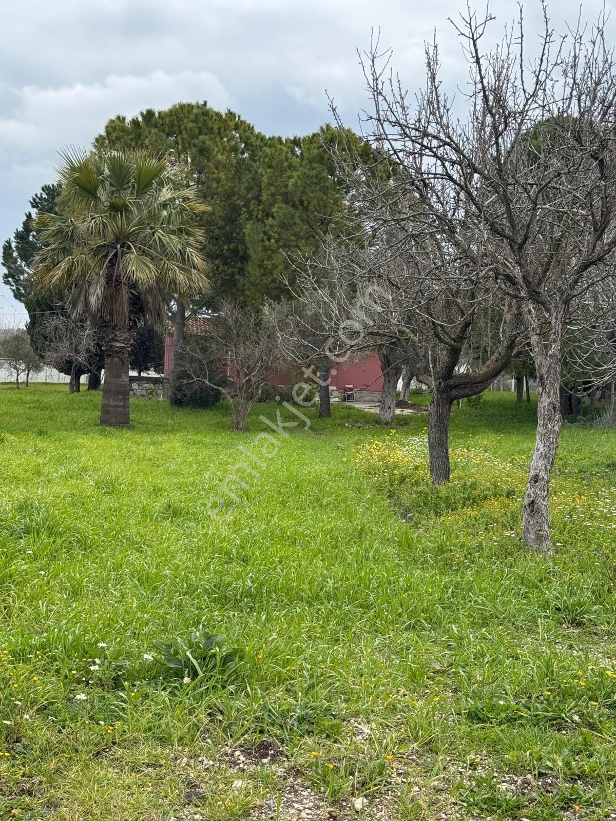 Kuşçularova Mevkiin De İmar Sınırında Tarla - Görsel 14