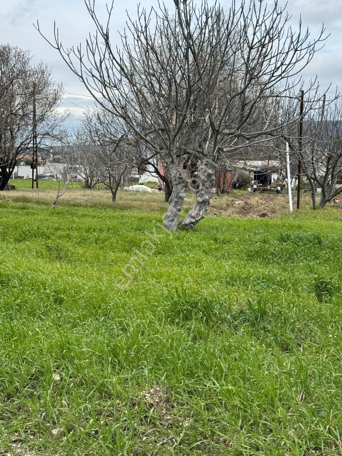 Kuşçularova Mevkiin De İmar Sınırında Tarla - Görsel 10