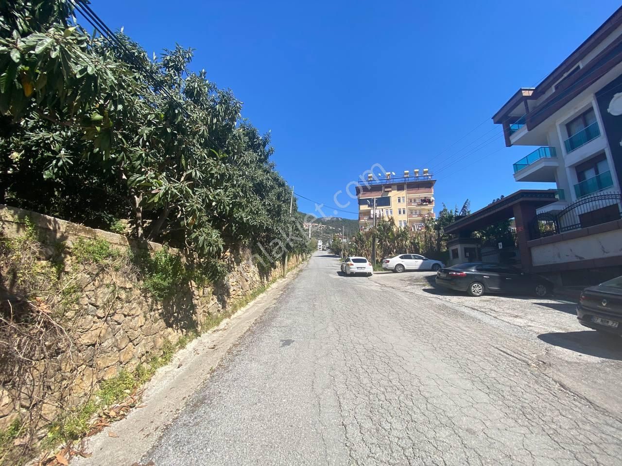 Cikcilli'de Kale Deniz Manzaralı Muşmula & Hobi Bahçesi - Görsel 9