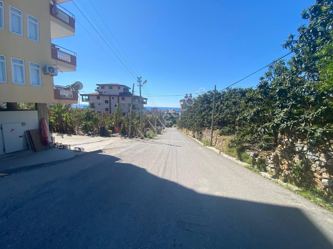 Cikcilli'de Kale Deniz Manzaralı Muşmula & Hobi Bahçesi - Görsel 3