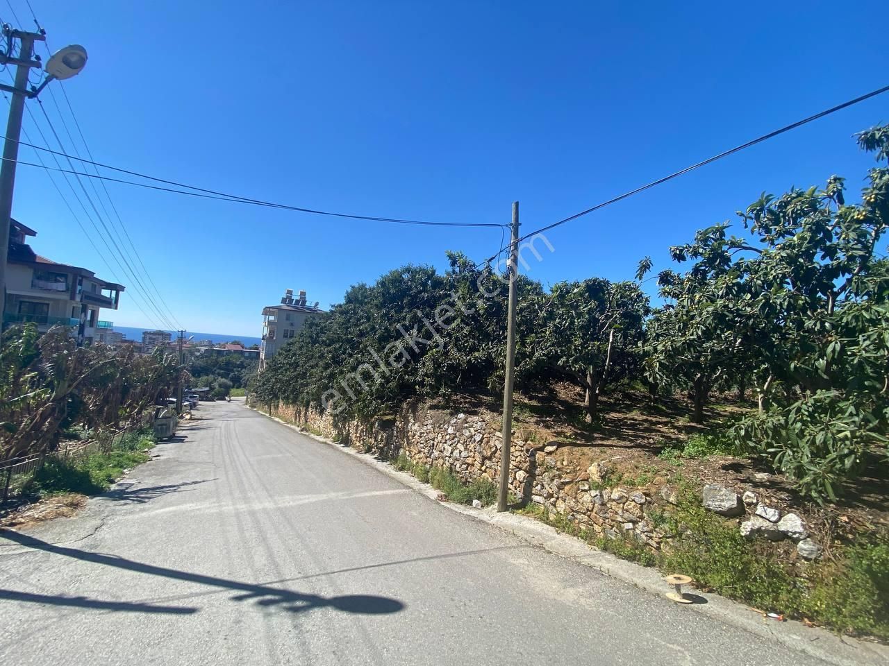 Cikcilli'de Kale Deniz Manzaralı Muşmula & Hobi Bahçesi - Görsel 6