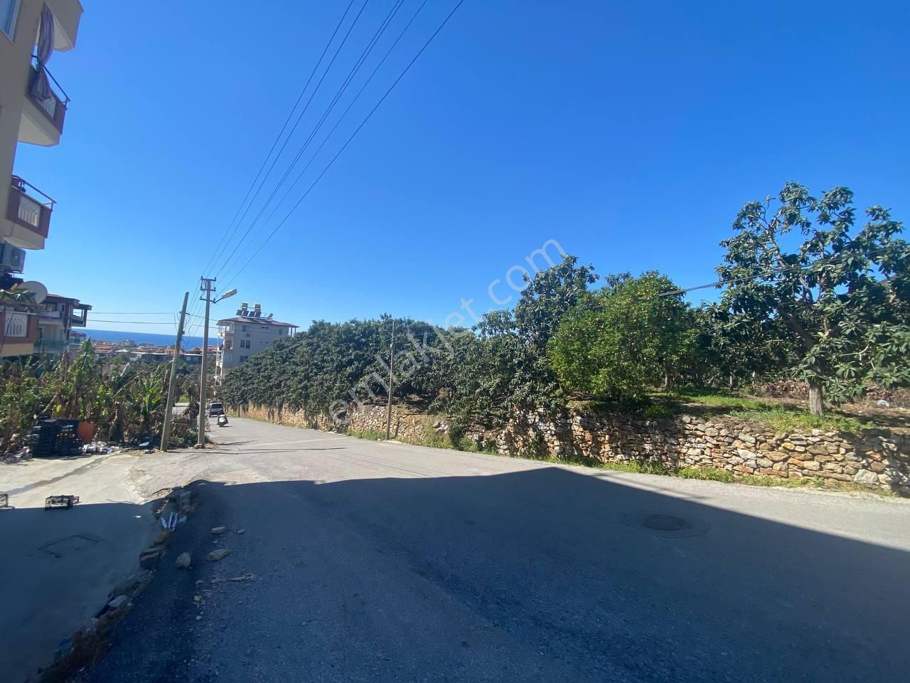 Cikcilli'de Kale Deniz Manzaralı Muşmula & Hobi Bahçesi - Görsel 5