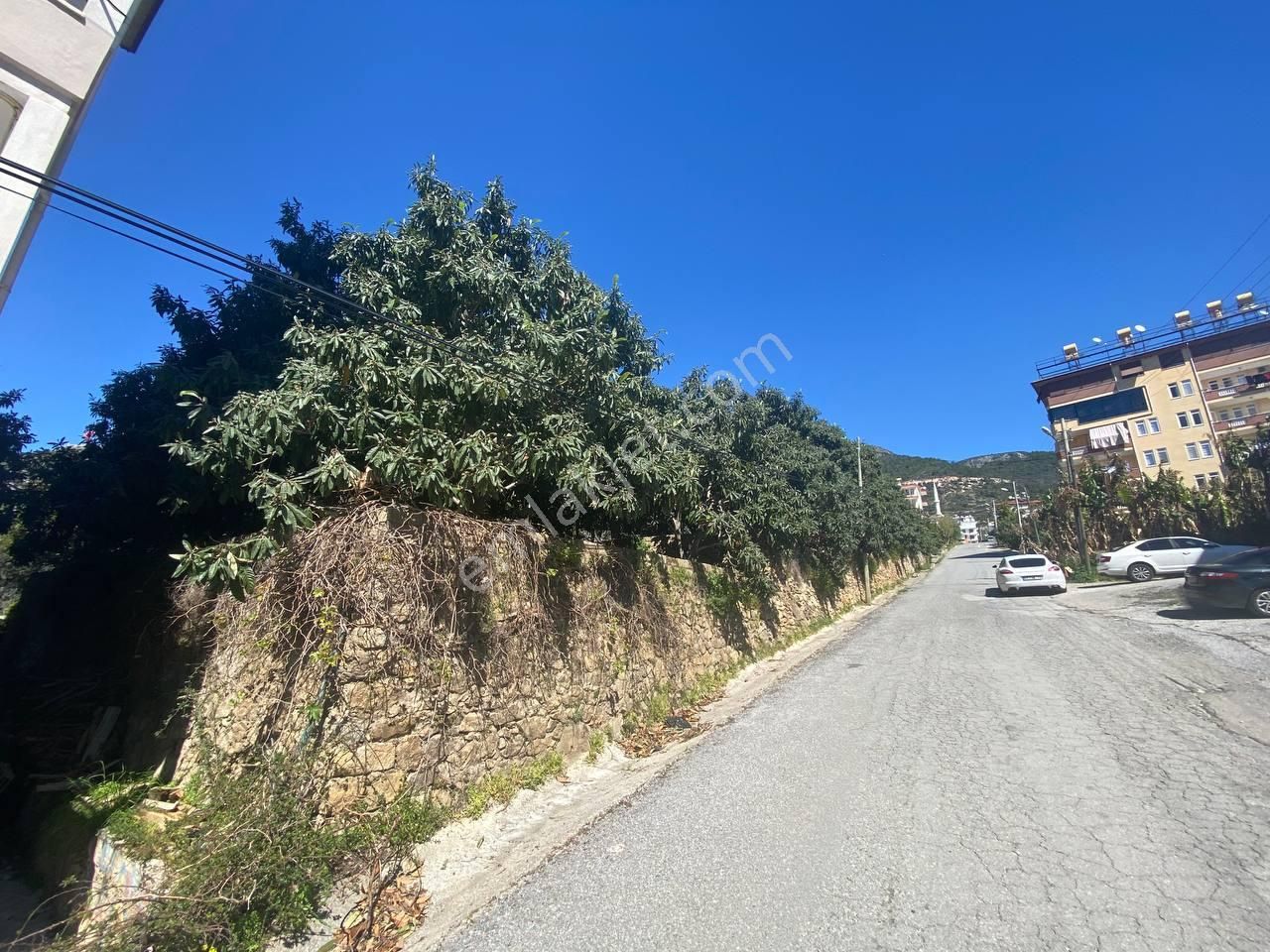 Cikcilli'de Kale Deniz Manzaralı Muşmula & Hobi Bahçesi - Görsel 7