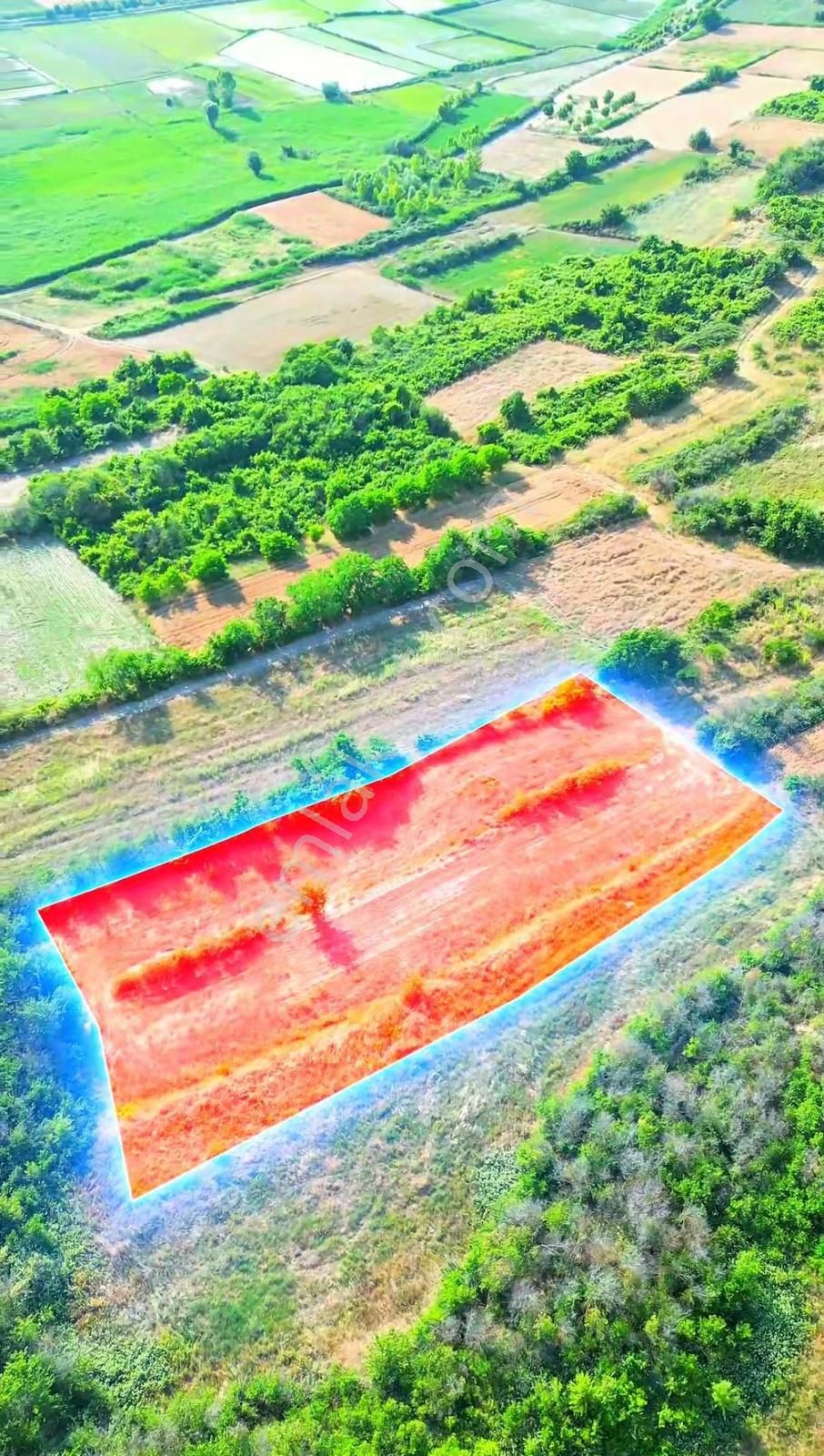 Edirne Merkez Orhaniye'de 1576metre Tek Tapu Satılık Tarla