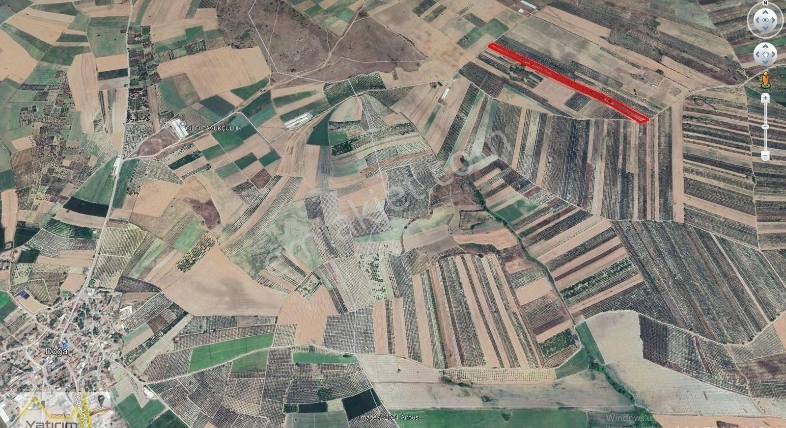 Karacebey İsmetpaşa Mahalesinde Satılık Bakımlı Zeytinlik - Görsel 3