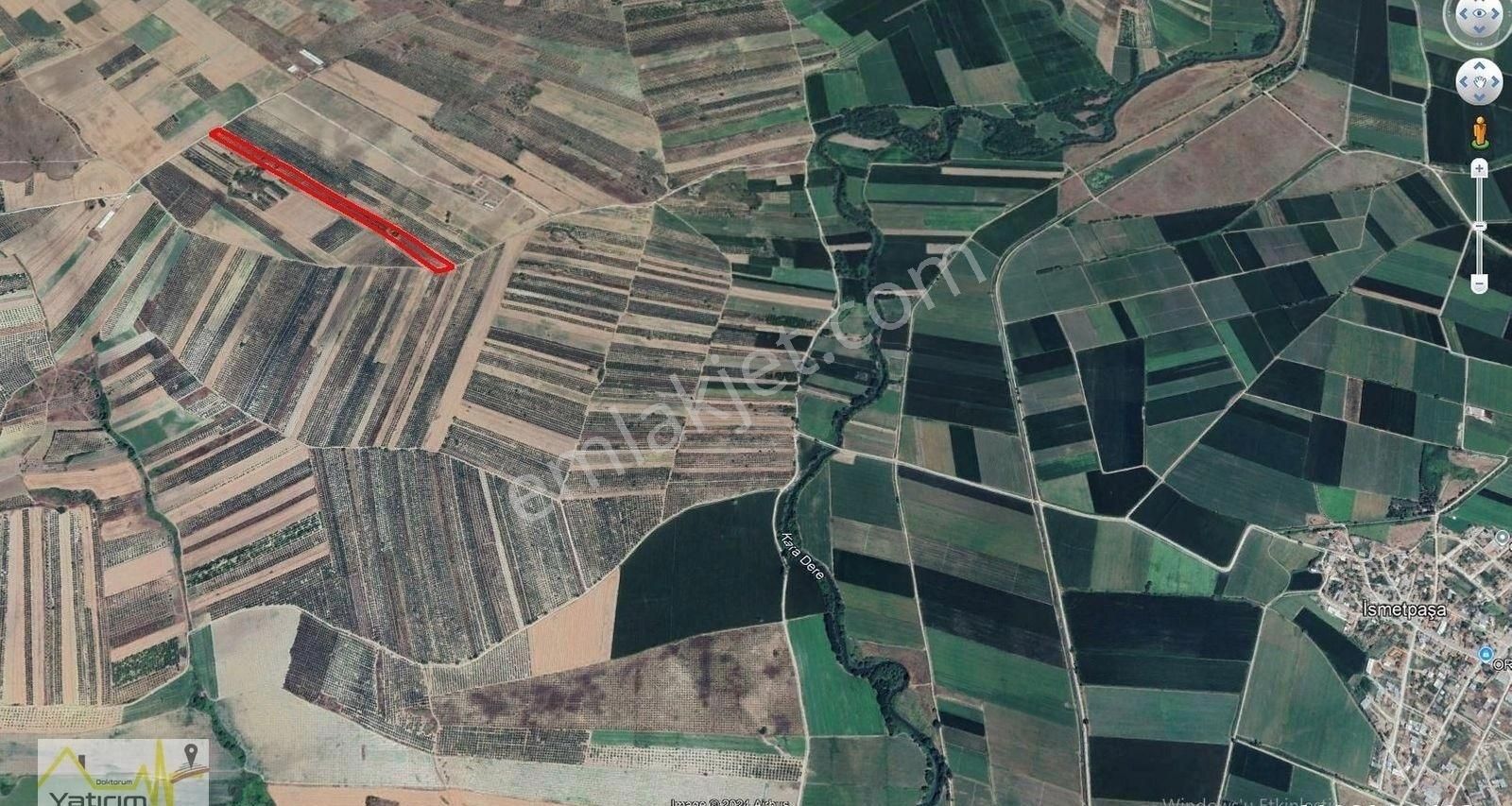 Karacebey İsmetpaşa Mahalesinde Satılık Bakımlı Zeytinlik - Görsel 2