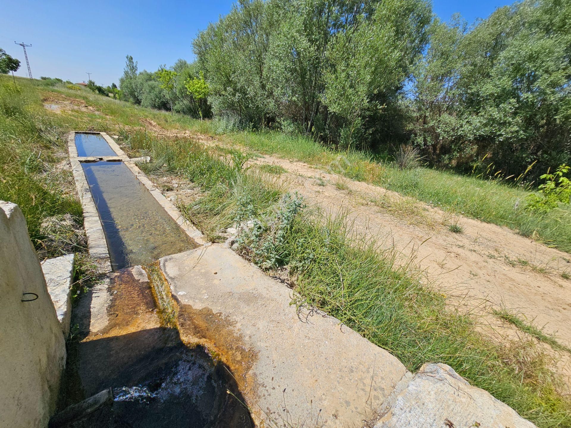 İşyapar Gayrimenkulden Afyon Yoluna Cephe Ticari Ruhsatlı Arazi - Görsel 5