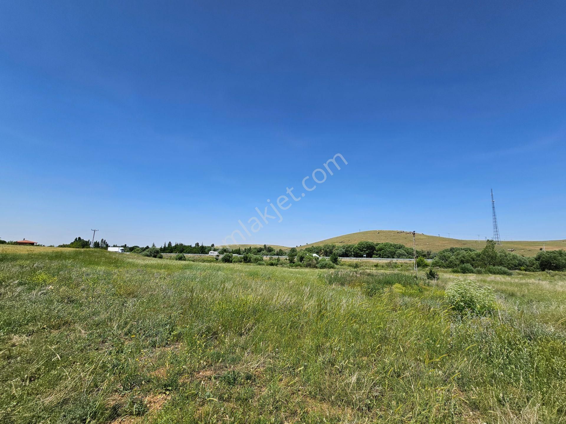 İşyapar Gayrimenkulden Afyon Yoluna Cephe Ticari Ruhsatlı Arazi - Görsel 10
