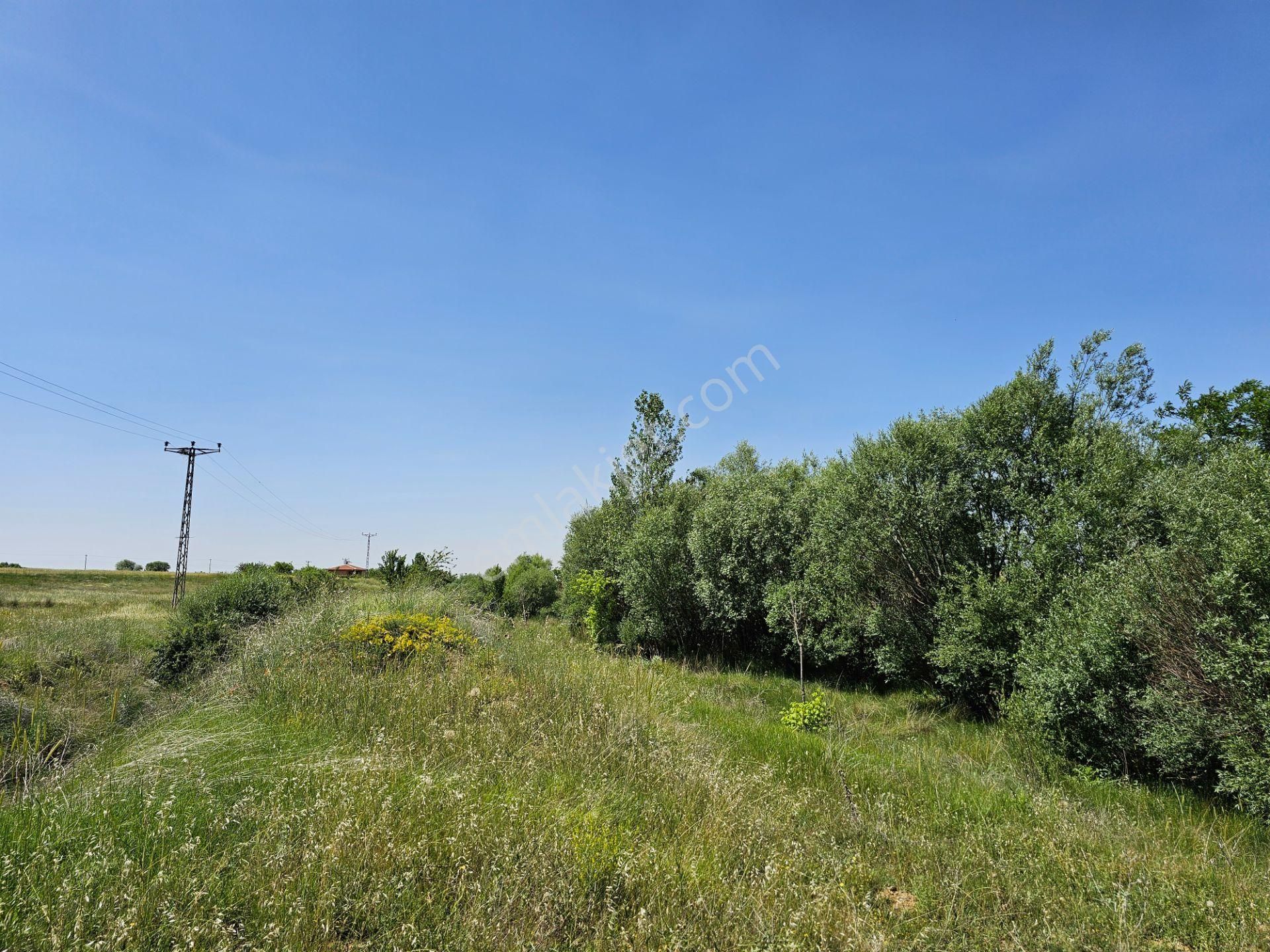 İşyapar Gayrimenkulden Afyon Yoluna Cephe Ticari Ruhsatlı Arazi - Görsel 14