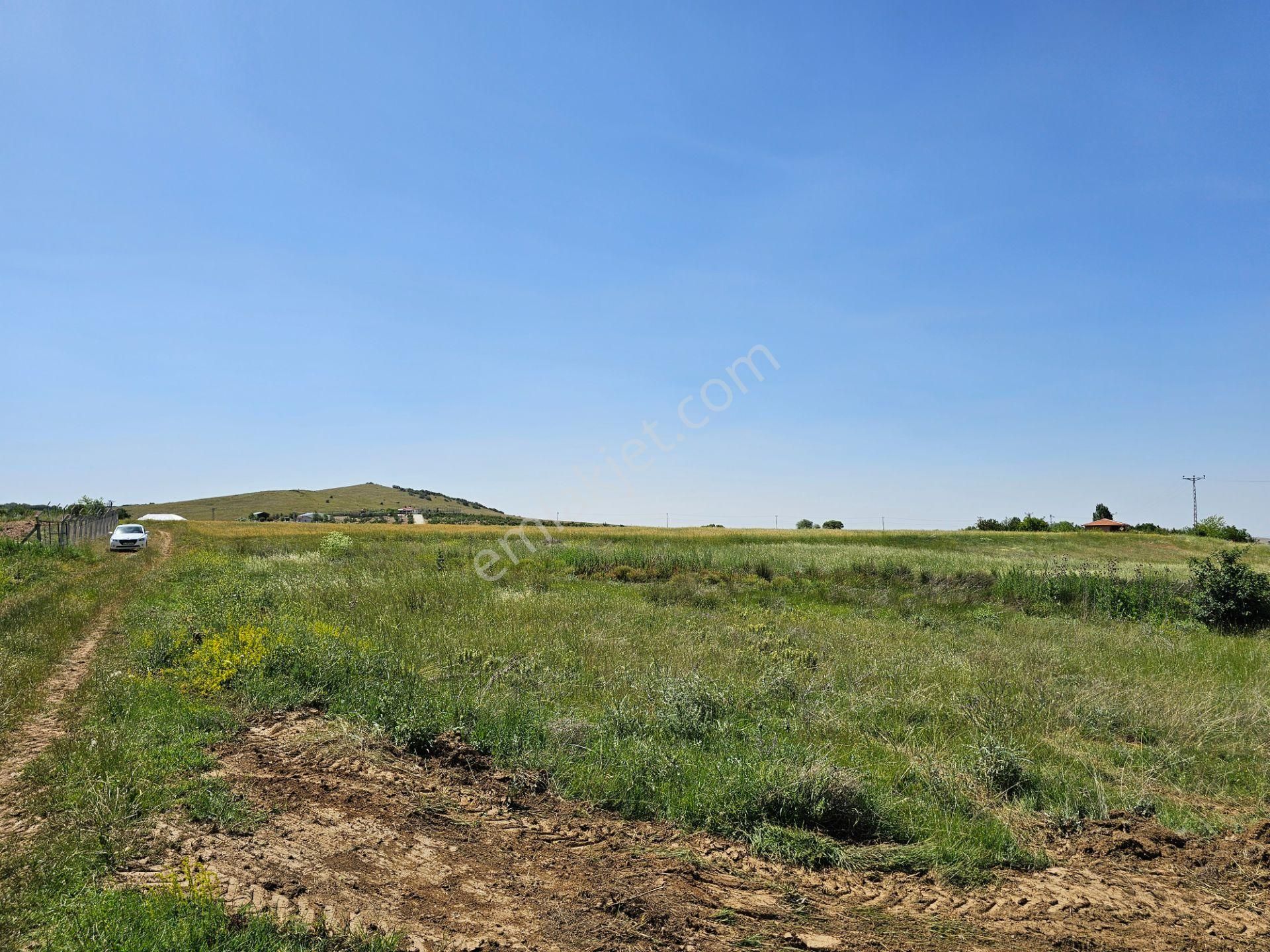 İşyapar Gayrimenkulden Afyon Yoluna Cephe Ticari Ruhsatlı Arazi - Görsel 13