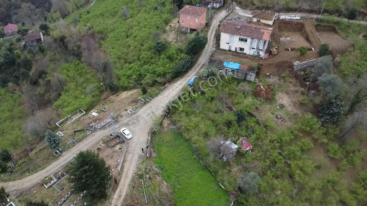 Sürmene Zeytinli Satılık Bağ & Bahçe Preamar Whıte -zeytinlide Sahile Yakın Yatırımlık Satılık Arsa