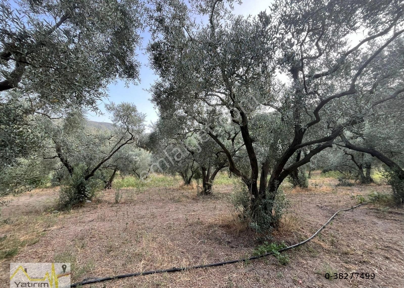 Erdek Doğanlar Mah. 7.398 M2 Oluşan Satılık Arazi - Görsel 3